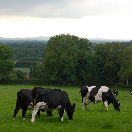 Ballindrum Farm B&B Атай Экстерьер фото